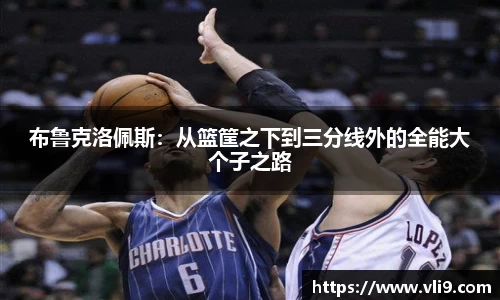 布鲁克洛佩斯：从篮筐之下到三分线外的全能大个子之路