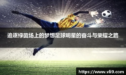 追逐绿茵场上的梦想足球明星的奋斗与荣耀之路