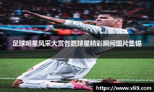 足球明星风采大赏各路球星精彩瞬间图片集锦
