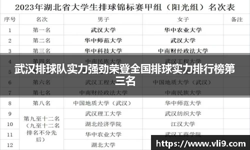 武汉排球队实力强劲荣登全国排球实力排行榜第三名